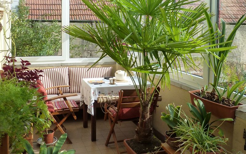 Wintergarten Frühstücksraum – Leseraum oder einfach nur zum Entspannen.
